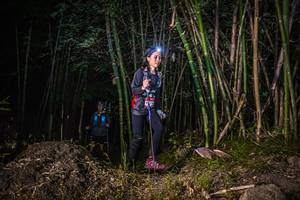 BIB: 
                            <button type="button" onclick="openModal(6950460)" class="btn btn-primary btn-sm float-right btn-popup" data-toggle="modal" data-target=".modal-high-quality">
                        <i class="fas fa-shopping-cart"></i> Add to Cart
                    </button>
                                            <button type="button" onclick="isThisMe(6950460, true)" class="btn btn-success btn-sm float-right btn-popup btn-isme hidden" data-toggle="tooltip" data-placement="bottom" title="นี่คือรูปของคุณใช่ไหม คลิกที่นี่เพื่อเอาเข้าอัลบั้ม">
                        <i class="fas fa-plus"></i> Add to album
                    </button>
                    <button type="button" onclick="isThisMe(6950460, false)" class="btn btn-warning btn-sm float-right btn-popup btn-isnotme hidden">
                        <i class="fas fa-ban"></i> Remove from album
                    </button>